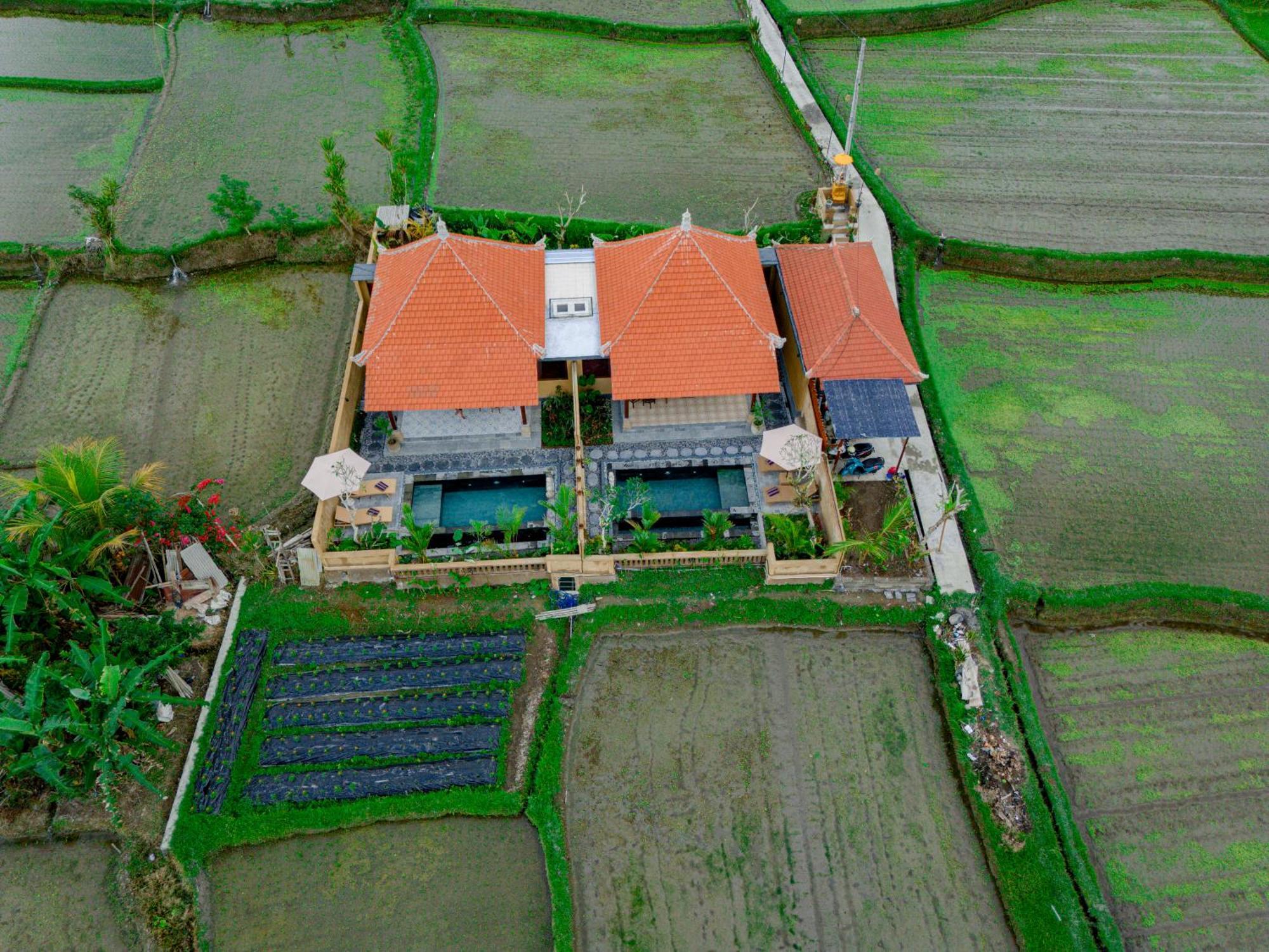 Umesari Villa Sebatu By Uniquecations Ubud Exteriör bild